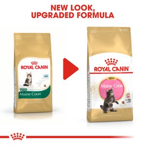 ROYAL CANIN® Maine Coon Kitten 10kg